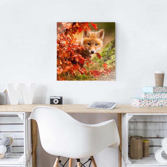 Glasbilder Natur Fuchs im Herbst