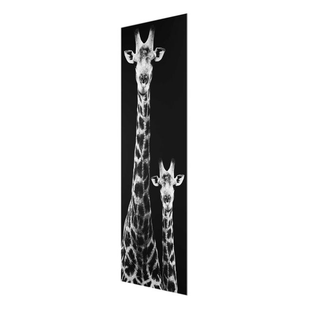 Glasbild - Giraffen Duo schwarz-weiss - Panorama Hoch