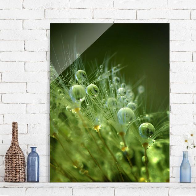 Glas Wandbilder XXL Grüne Samen im Regen