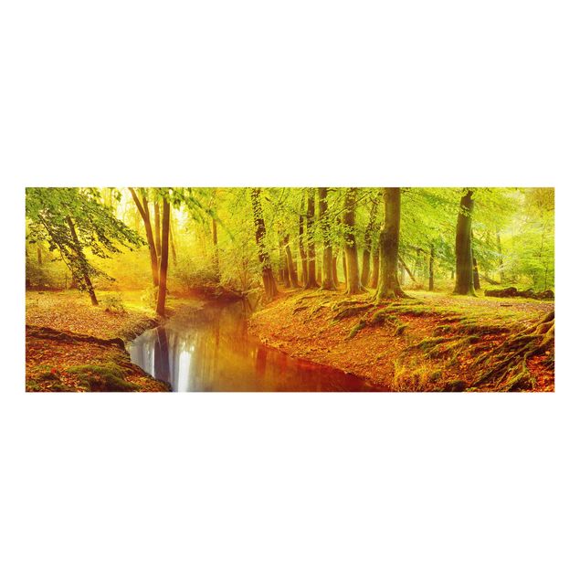 Glasbild - Herbstwald - Panorama Quer - Waldbild Glas