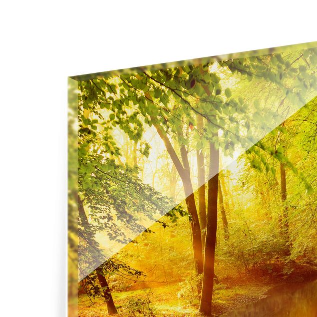 Glasbild - Herbstwald - Quadrat 1:1 - Waldbild Glas