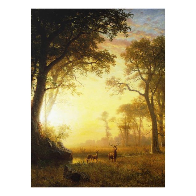 Bilder auf Glas Albert Bierstadt - Sonnenbeschienene Lichtung
