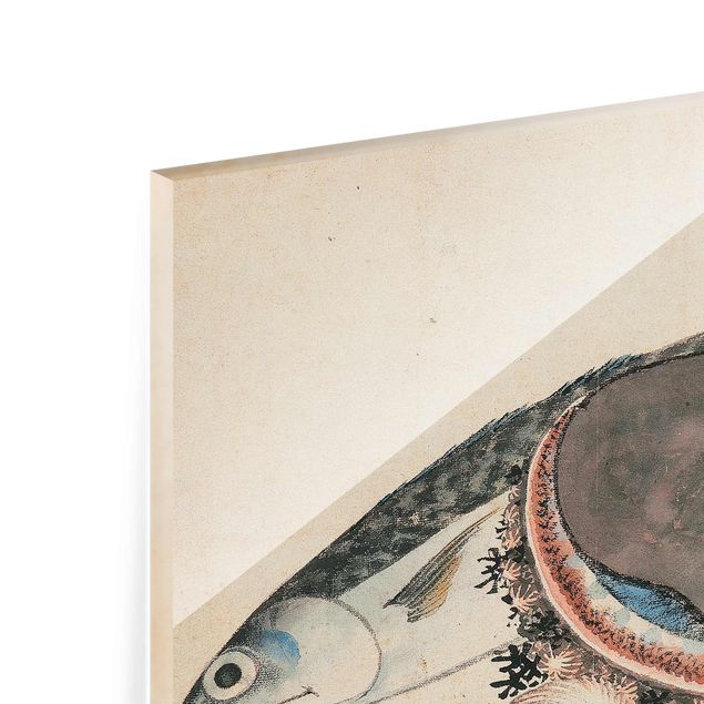 Glasbild - Kunstdruck Katsushika Hokusai - Makrele und Seemuscheln - Quer 3:2