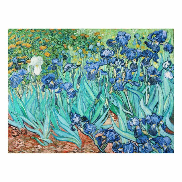 Bilder Vincent van Gogh - Iris