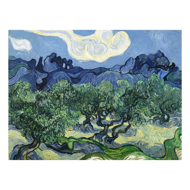 Bilder Vincent van Gogh - Olivenbäume