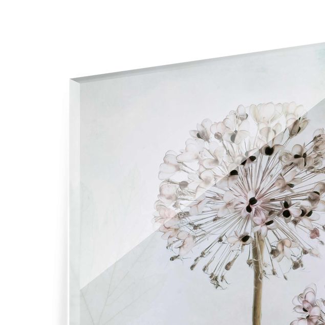Glasbild - Lauchblüten in Pastell - Hochformat 3:2