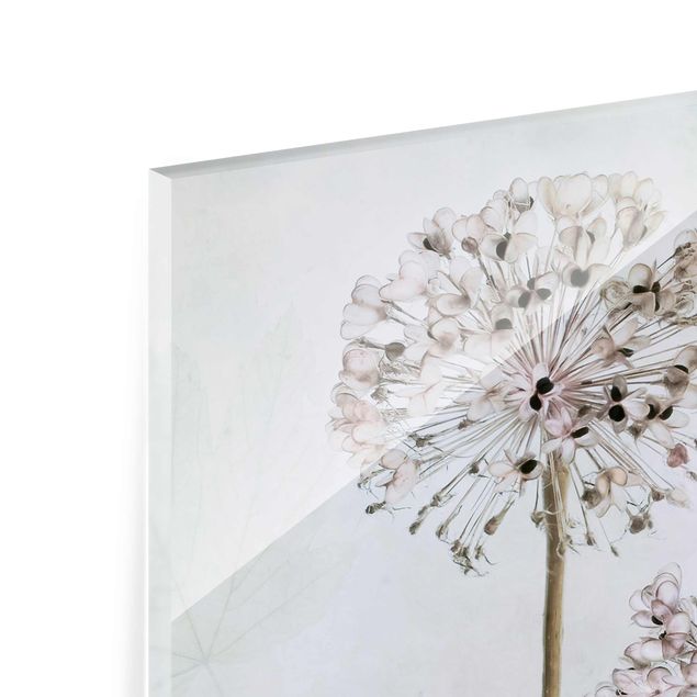 Glasbild - Lauchblüten in Pastell - Hochformat 4:3