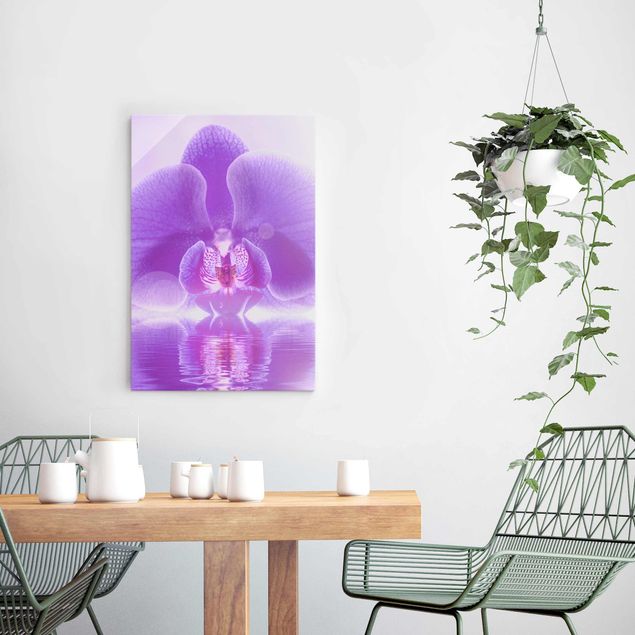 Wandbilder Lila Orchidee auf Wasser
