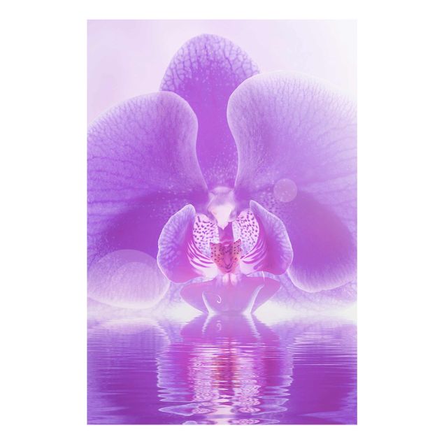 Glasbild - Lila Orchidee auf Wasser - Hoch 2:3