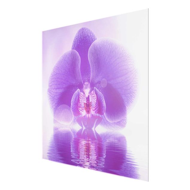Glasbild - Lila Orchidee auf Wasser - Quadrat 1:1