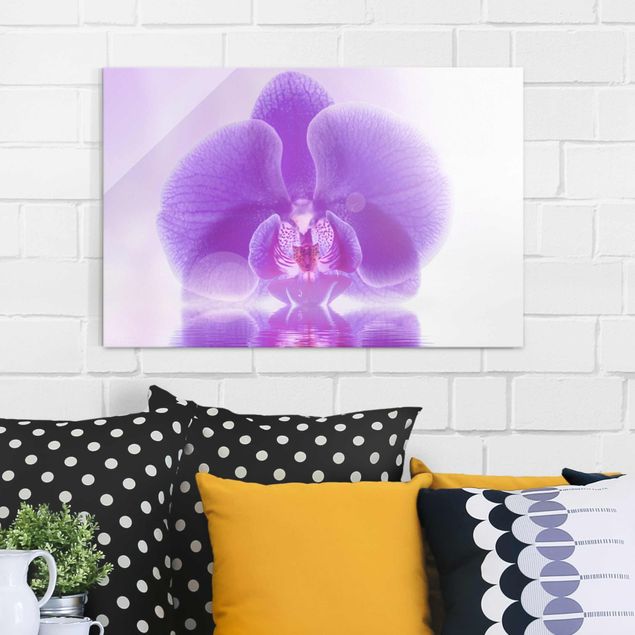 XXL Glasbilder Lila Orchidee auf Wasser