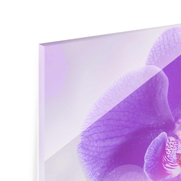 Glasbild - Lila Orchidee auf Wasser - Quer 3:2