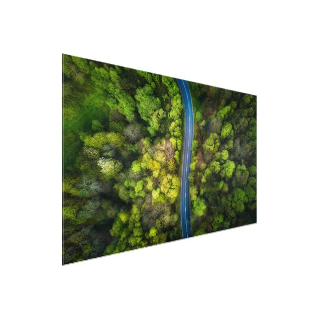 Bilder auf Glas Luftbild - Asphaltstraße im Wald