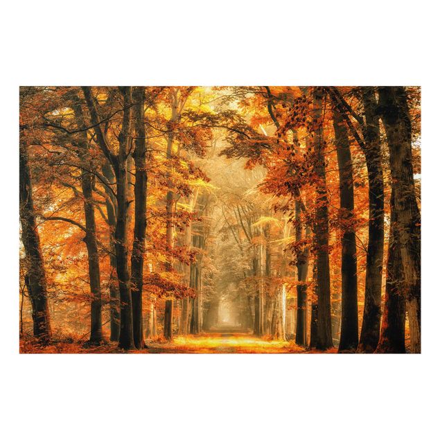 Glasbild - Märchenwald im Herbst - Quer 3:2