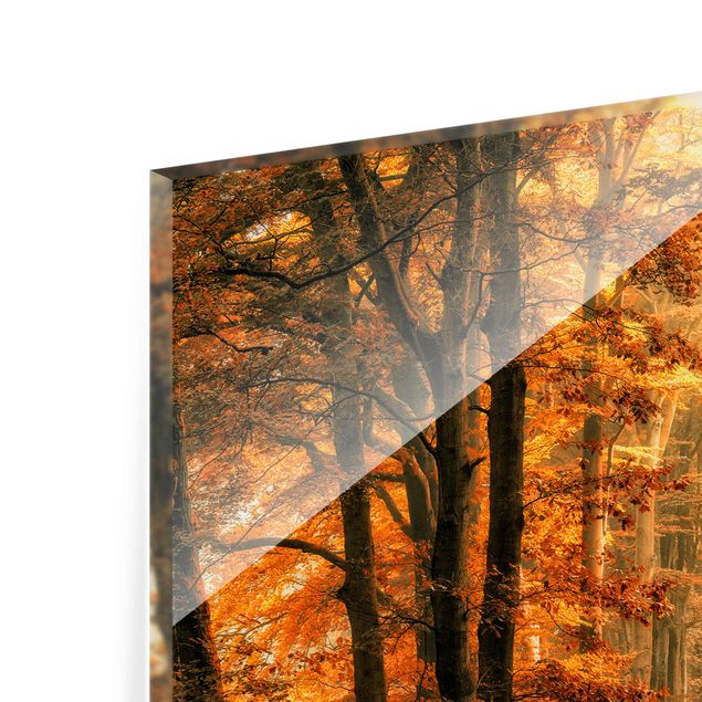 Glasbild - Märchenwald im Herbst - Quer 3:2