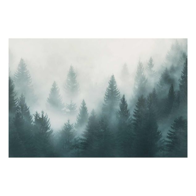 Glasbild - Nadelwald im Nebel - Querformat 2:3