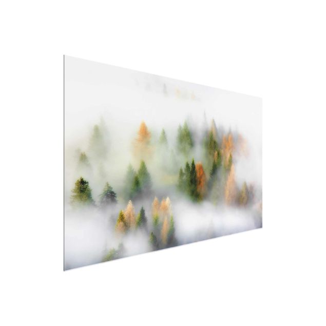 Glas Wandbilder Nebelwald im Herbst