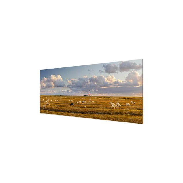 Glas Wandbilder Nordsee Leuchtturm mit Schafsherde