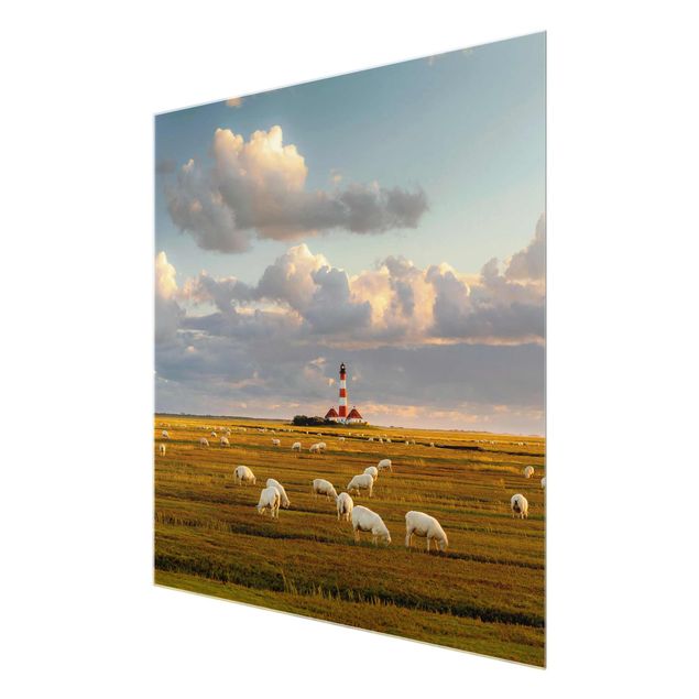 Bilder auf Glas Nordsee Leuchtturm mit Schafsherde