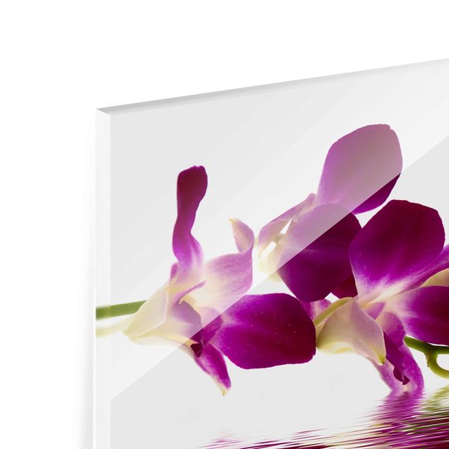 Glasbild - Pink Orchid Waters - Quer 3:2