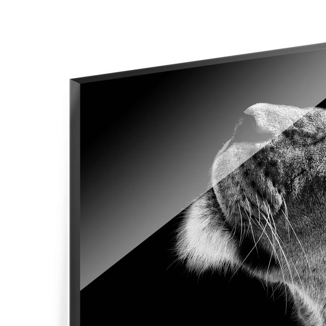 Glasbild - Portrait einer Löwin - Querformat 3:4