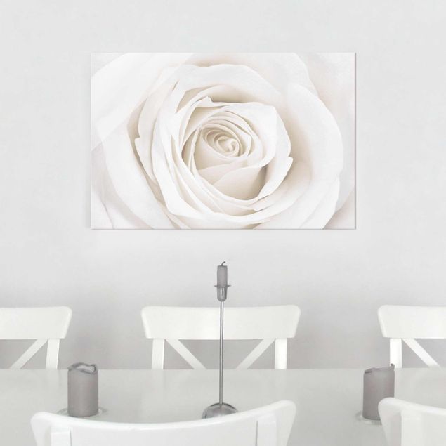 Glasbilder Blumen Pretty White Rose