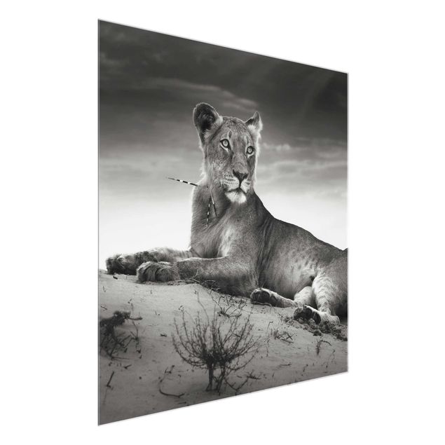 Wandbilder Resting Lion