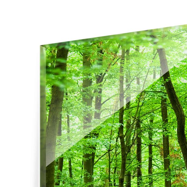 Glasbild - Romantischer Waldweg - Hoch 2:3