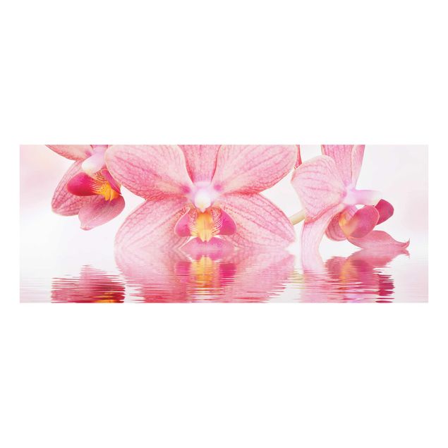 Glasbild - Rosa Orchideen auf Wasser - Panorama Quer