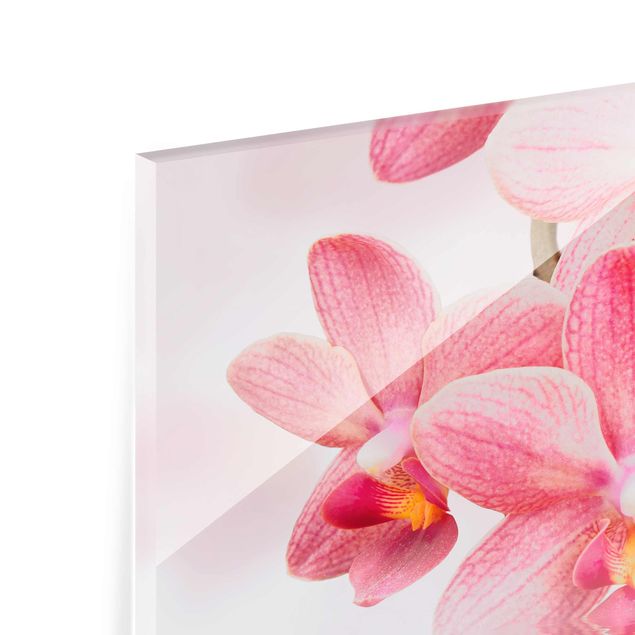 Glasbild - Rosa Orchideen auf Wasser - Quer 3:2