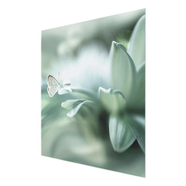 Glasbild - Schmetterling und Tautropfen in Pastellgrün - Quadrat 1:1