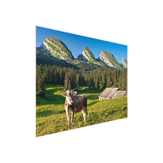 Rainer Mirau Bilder Schweizer Almwiese mit Kuh