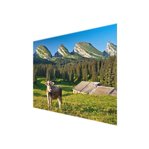 Glas Wandbilder Schweizer Almwiese mit Kuh