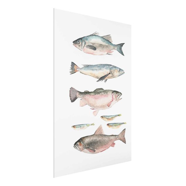 Glas Wandbilder Sieben Fische in Aquarell I
