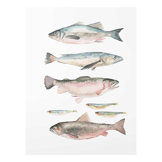 Glasbild - Sieben Fische in Aquarell I - Hochformat 4:3