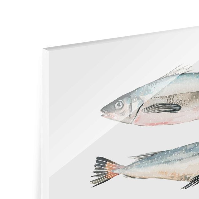 Glasbild - Sieben Fische in Aquarell I - Hochformat 4:3