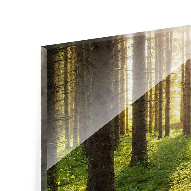 Glasbild - Sonnenstrahlen in grünem Wald - Panorama Quer - Waldbild Glas