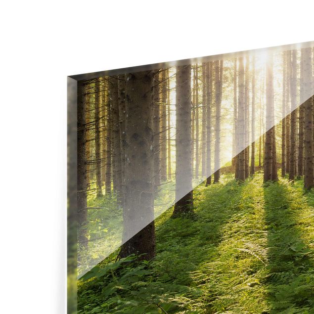 Glasbild - Sonnenstrahlen in grünem Wald - Quer 4:3 - Waldbild Glas