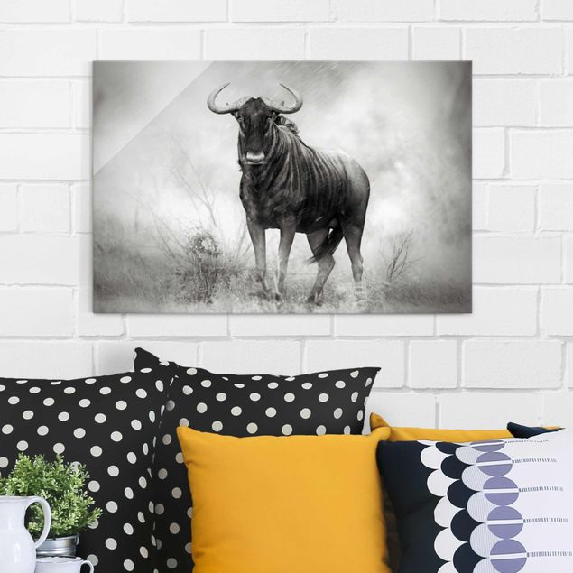 Glasbild schwarz-weiß Staring Wildebeest