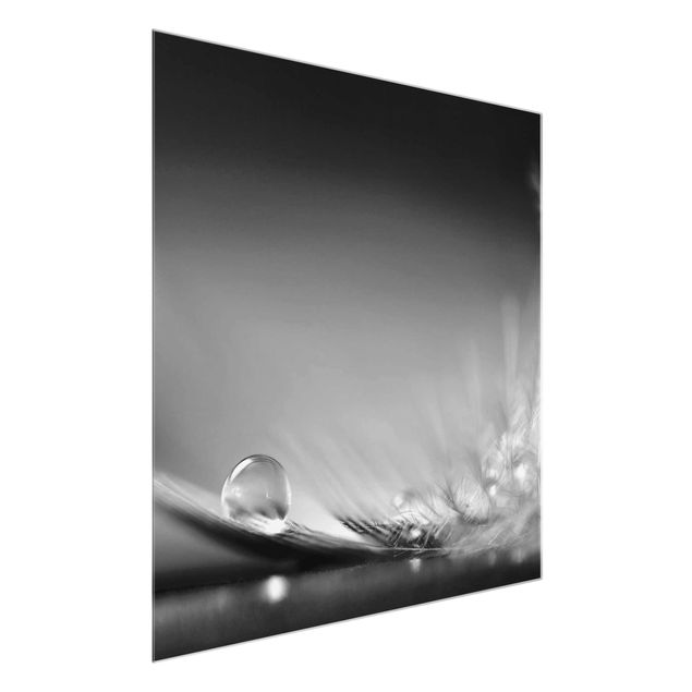 Glasbild - Story of a Waterdrop Black White - Quadrat 1:1