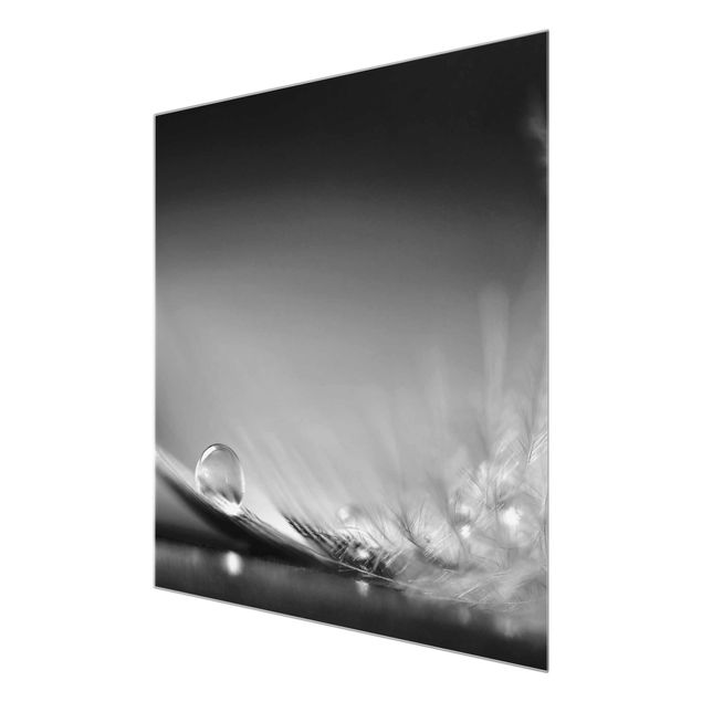 Glasbild - Story of a Waterdrop Black White - Quadrat 1:1