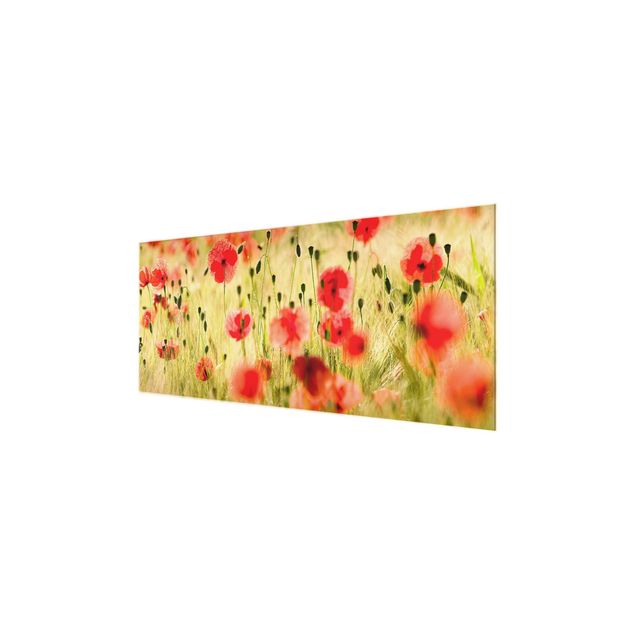 Glasbild - Summer Poppies - Panorama Quer