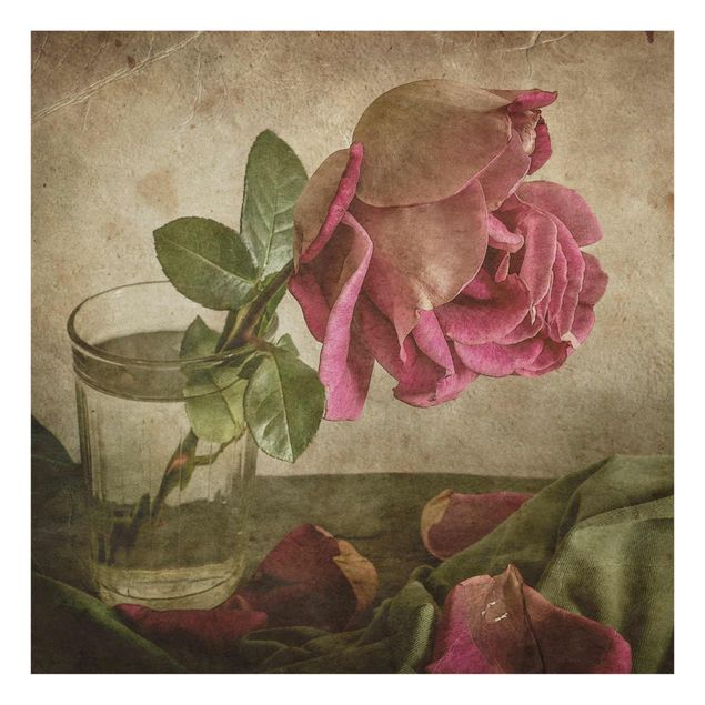 Glasbild - Tear of a Rose - Quadrat 1:1