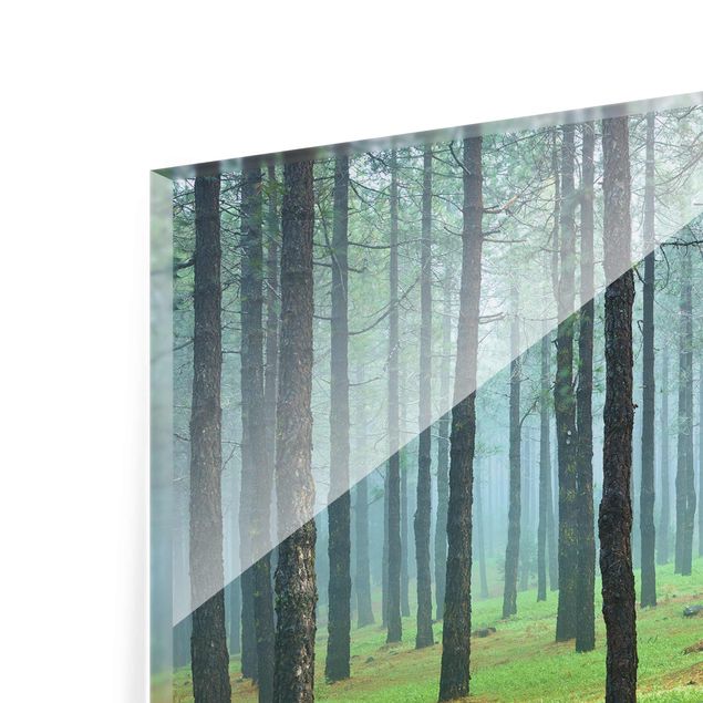 Glasbild Wald - Tiefer Wald mit Kiefern auf La Palma - Waldbild Quer 4:3