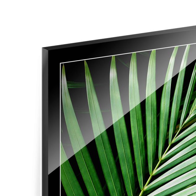 Glasbild - Tropisches Palmblatt - Hochformat 2:3