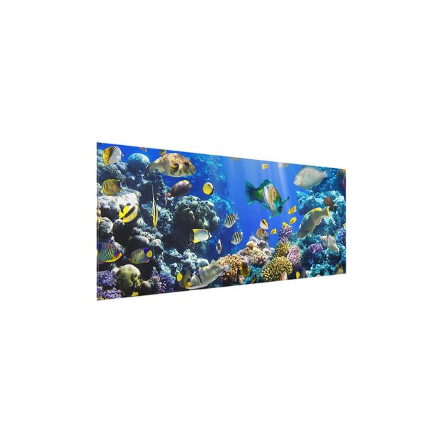 Glasbild - Underwater Reef - Panorama Quer