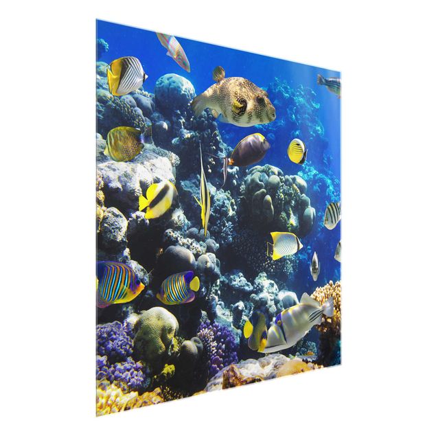Glasbild - Underwater Reef - Quadrat 1:1