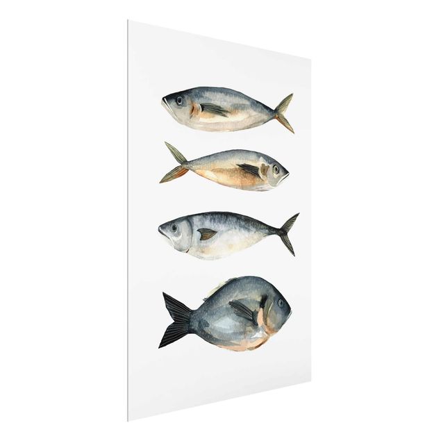 Glas Wandbilder Vier Fische in Aquarell I