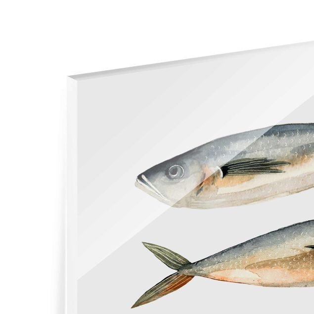 Glasbild - Vier Fische in Aquarell I - Hochformat 4:3