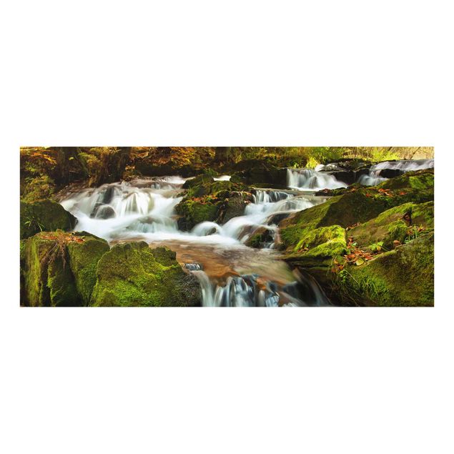 Glasbild - Wasserfall herbstlicher Wald - Panorama Quer